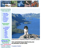 Tablet Screenshot of coastalsafari.com